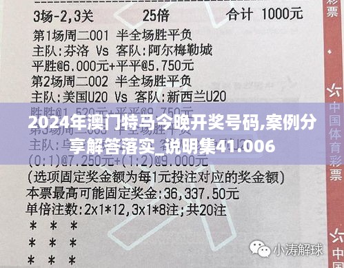 2024年澳门特马今晚开奖号码,案例分享解答落实_说明集41.006