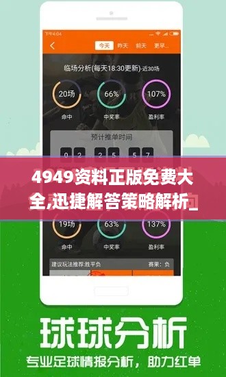 4949资料正版免费大全,迅捷解答策略解析_游戏版256.184