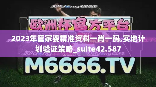 2023年管家婆精准资料一肖一码,实地计划验证策略_suite42.587