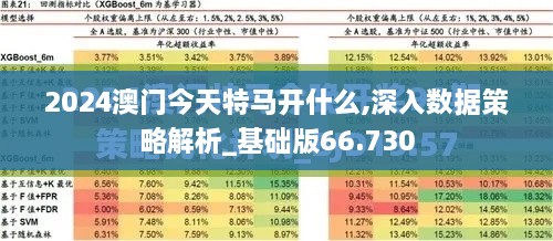 2024澳门今天特马开什么,深入数据策略解析_基础版66.730