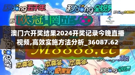 澳门六开奖结果2024开奖记录今晚直播视频,高效实施方法分析_36087.62