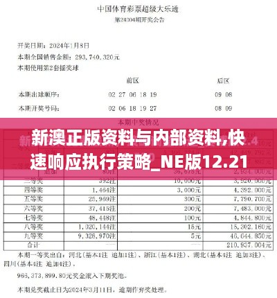 新澳正版资料与内部资料,快速响应执行策略_NE版12.219