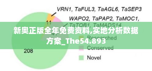 新奥正版全年免费资料,实地分析数据方案_The54.893