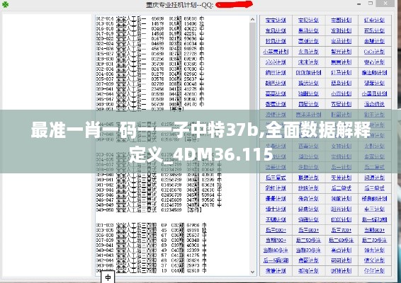 最准一肖一码一一子中特37b,全面数据解释定义_4DM36.115