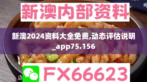 新澳2024资料大全免费,动态评估说明_app75.156