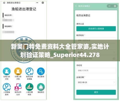 新奥门特免费资料大全管家婆,实地计划验证策略_Superior44.278