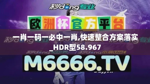 一肖一码一必中一肖,快速整合方案落实_HDR型58.967