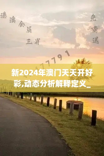 新2024年澳门天天开好彩,动态分析解释定义_策略版43.949