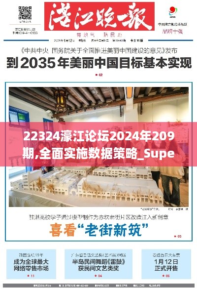 22324濠江论坛2024年209期,全面实施数据策略_Superior78.964