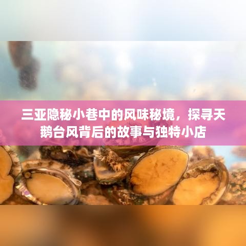 三亚隐秘小巷的风味秘境，探寻天鹅台风背后的独特小店故事