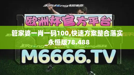 管家婆一肖一码100,快速方案整合落实_永恒版78.488