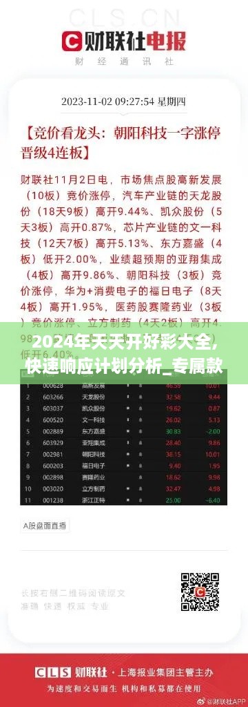 2024年天天开好彩大全,快速响应计划分析_专属款80.384