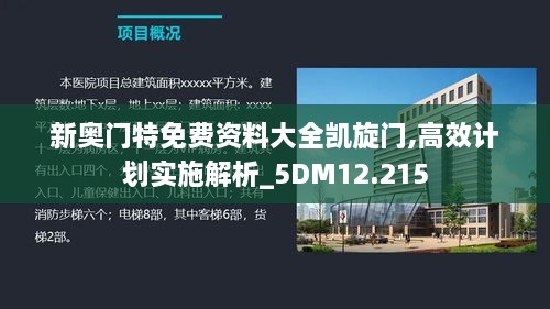 新奥门特免费资料大全凯旋门,高效计划实施解析_5DM12.215