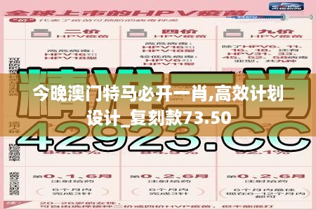 今晚澳门特马必开一肖,高效计划设计_复刻款73.50