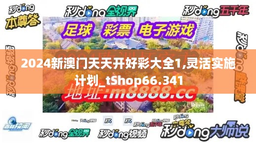 2024新澳门天天开好彩大全1,灵活实施计划_tShop66.341