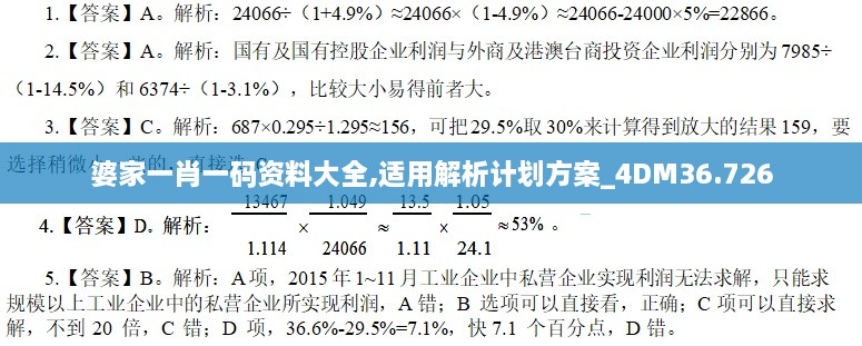 婆家一肖一码资料大全,适用解析计划方案_4DM36.726