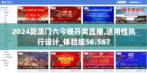 2024新澳门六今晚开奖直播,适用性执行设计_体验版56.567