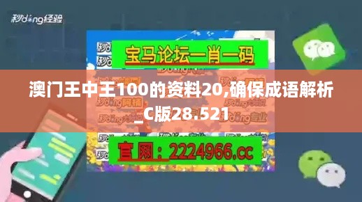 澳门王中王100的资料20,确保成语解析_C版28.521