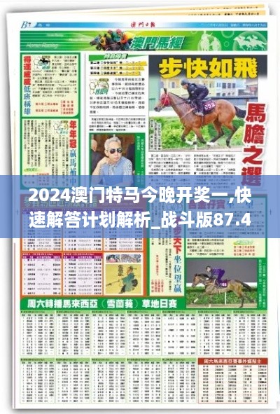 2024澳门特马今晚开奖一,快速解答计划解析_战斗版87.423