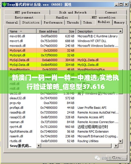 新澳门一码一肖一特一中准选,实地执行验证策略_信息型37.616