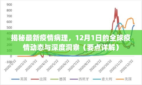 揭秘最新疫情病理与全球动态洞察，深度解析全球疫情动态（要点详解）