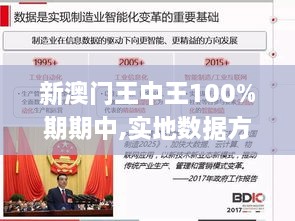 新澳门王中王100%期期中,实地数据方案评估_铂金版37.908