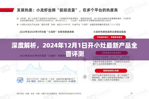 独家深度评测，2024年最新开小灶产品全面解析与评测