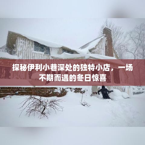 探秘伊利小巷深处的独特小店，冬日惊喜之旅