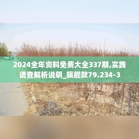 2024全年资料免费大全337期,实践调查解析说明_旗舰款79.234-3