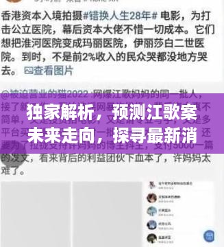 独家解析江歌案未来走向，最新消息动向深度探寻