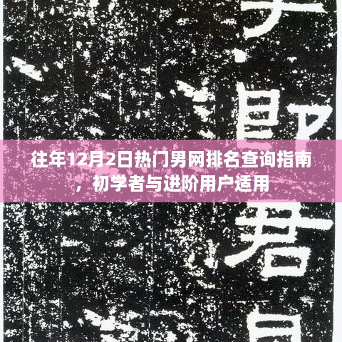 男网排名查询指南，适合初学者与进阶用户的往年12月2日热门榜单