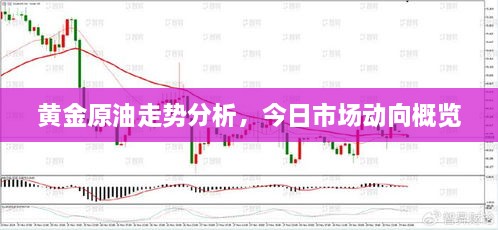 黄金原油走势分析与今日市场动向概览