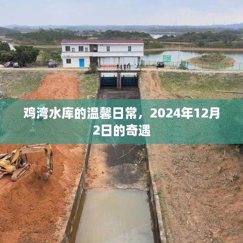 鸡湾水库奇遇记，温馨日常的特别篇章（2024年12月2日）