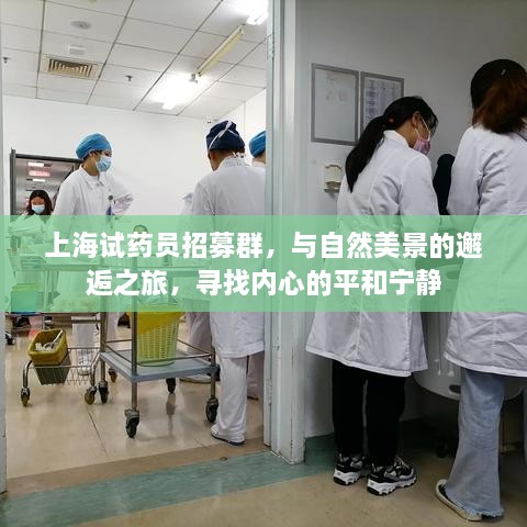 上海试药员招募群，自然美景中的心灵寻觅之旅