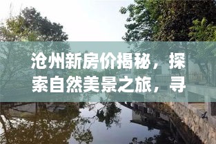 沧州新房价探索与自然美景的心灵之旅，宁静港湾的追寻