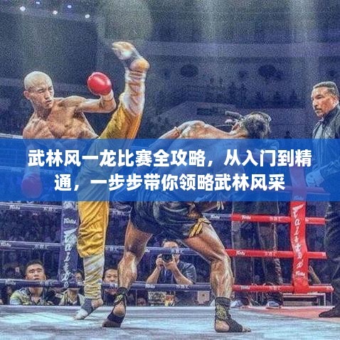 武林风一龙比赛全攻略，从入门到精通，领略武林风采的独特魅力