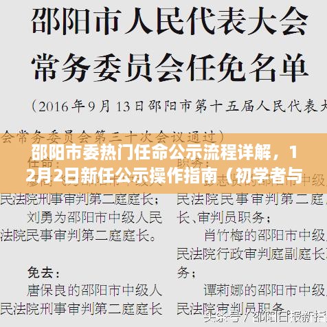 邵阳市委新任任命公示流程详解，从入门到进阶的操作指南（附操作指南）