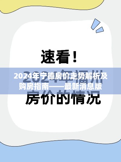 2024年12月3日 第12页