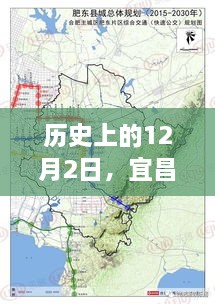 2024年12月3日 第11页