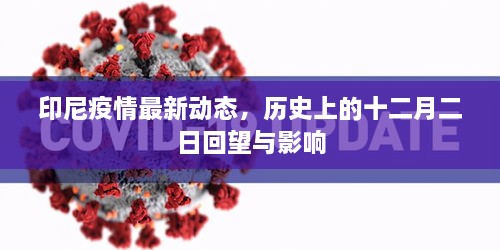 印尼疫情最新动态，十二月二日的历史回望与影响分析