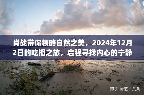 肖战引领自然之美探索之旅，吃播启程，寻找内心的宁静与平和（2024年12月2日）