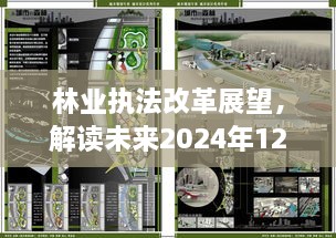 林业执法改革展望，解读未来热门动态至2024年12月2日