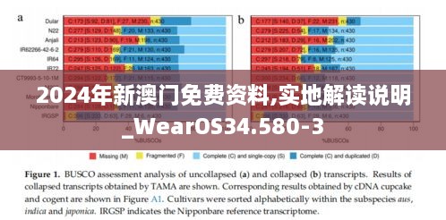 2024年新澳门免费资料,实地解读说明_WearOS34.580-3