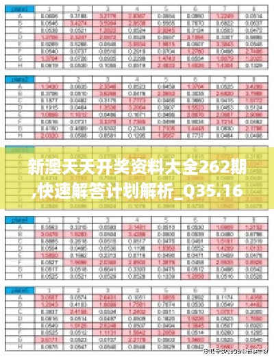 新澳天天开奖资料大全262期,快速解答计划解析_Q35.160-4