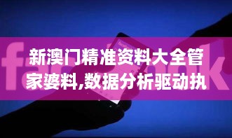 新澳门精准资料大全管家婆料,数据分析驱动执行_WP版75.244-4