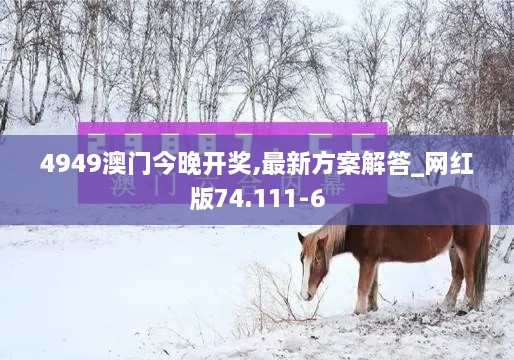 4949澳门今晚开奖,最新方案解答_网红版74.111-6