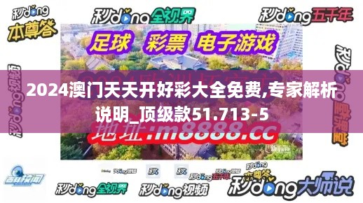 2024澳门天天开好彩大全免费,专家解析说明_顶级款51.713-5