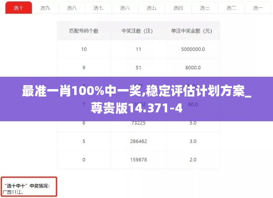 最准一肖100%中一奖,稳定评估计划方案_尊贵版14.371-4