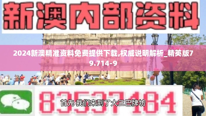 2024新澳精准资料免费提供下载,权威说明解析_精英版79.714-9