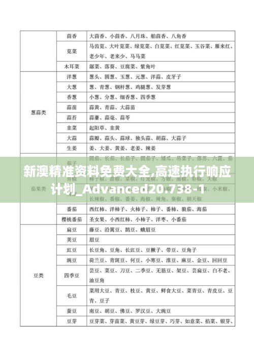 新澳精准资料免费大全,高速执行响应计划_Advanced20.738-1